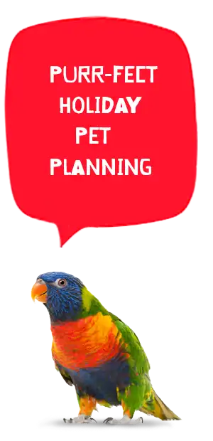 holiday pet planning